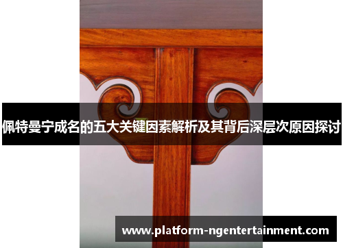 佩特曼宁成名的五大关键因素解析及其背后深层次原因探讨