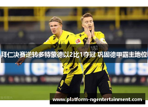 拜仁决赛逆转多特蒙德以2比1夺冠 巩固德甲霸主地位