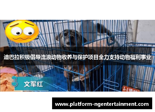 迪巴拉积极倡导流浪动物收养与保护项目全力支持动物福利事业