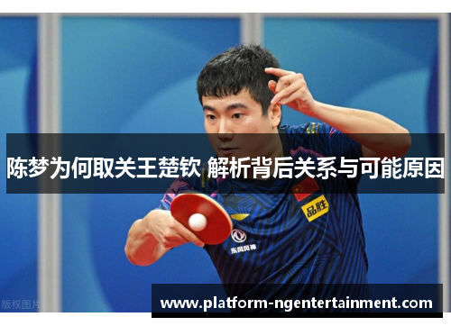 陈梦为何取关王楚钦 解析背后关系与可能原因