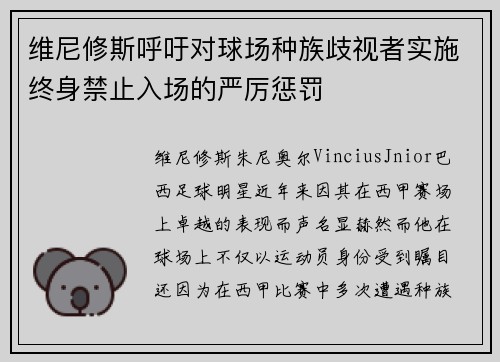 维尼修斯呼吁对球场种族歧视者实施终身禁止入场的严厉惩罚